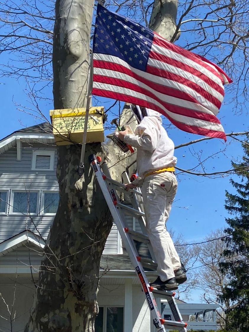 Green Stinger Beekeeping Services LLC