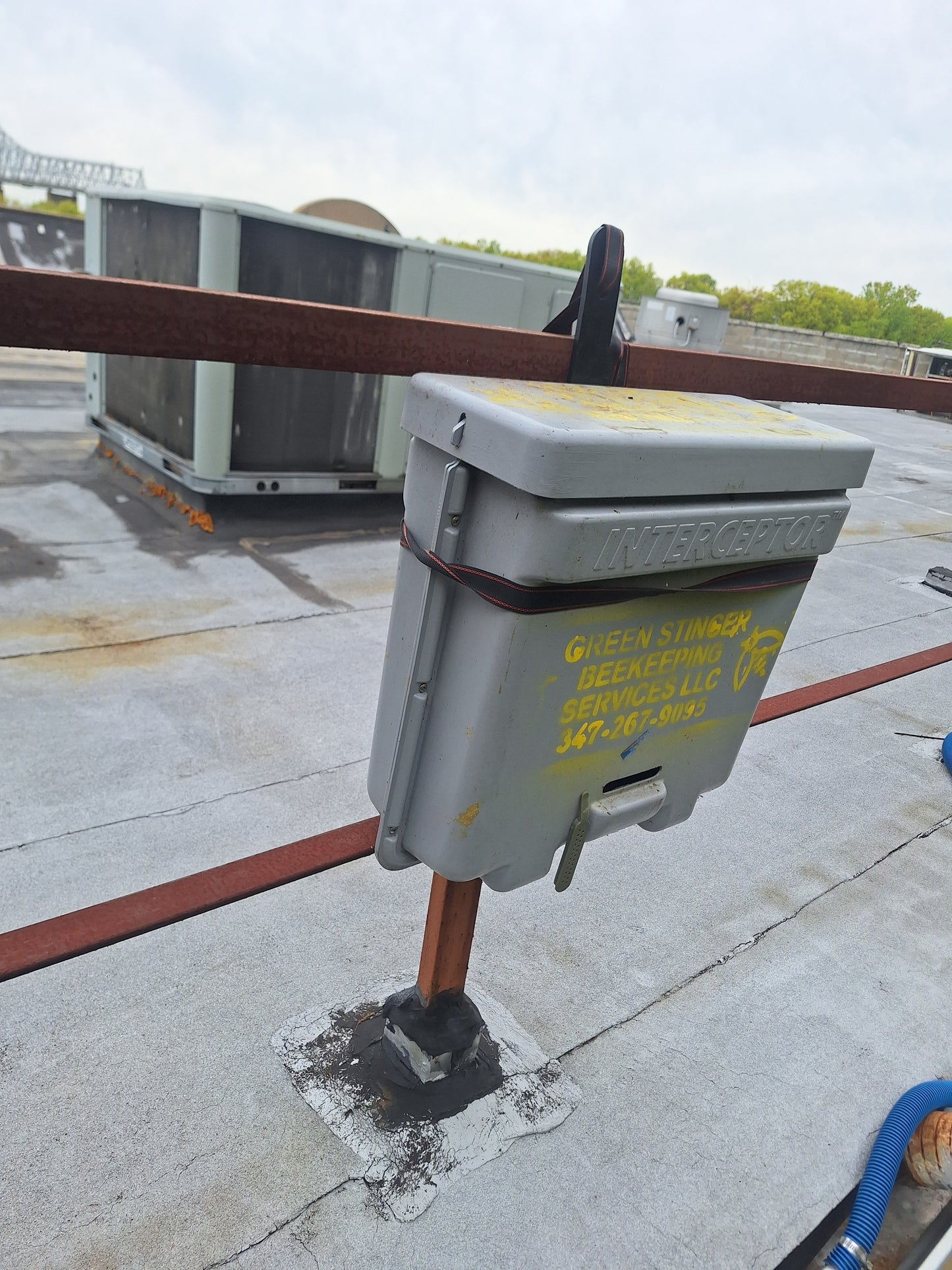 Swarm Traps Instalation