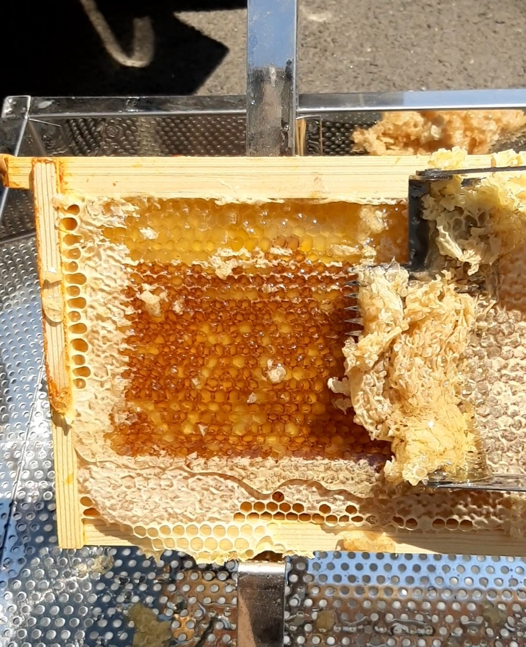 8oz Honey