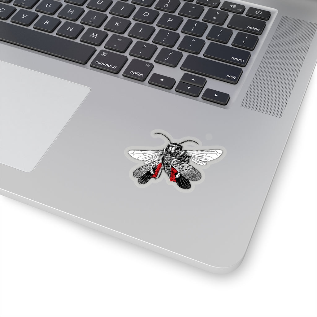 Hornet vs Lanternfly Stickers