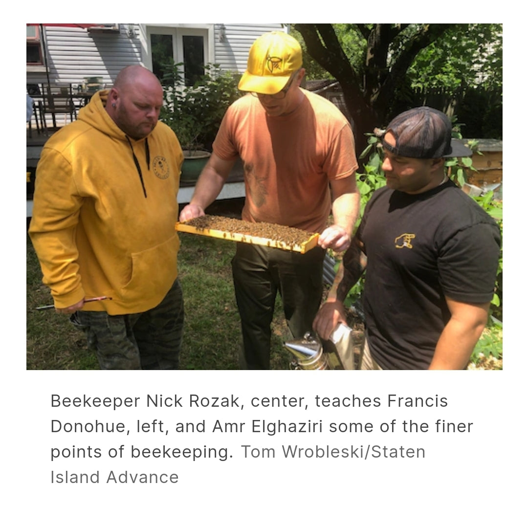 Listen to the hive: beekeeping a growing way for military vets, first responders to kick stress