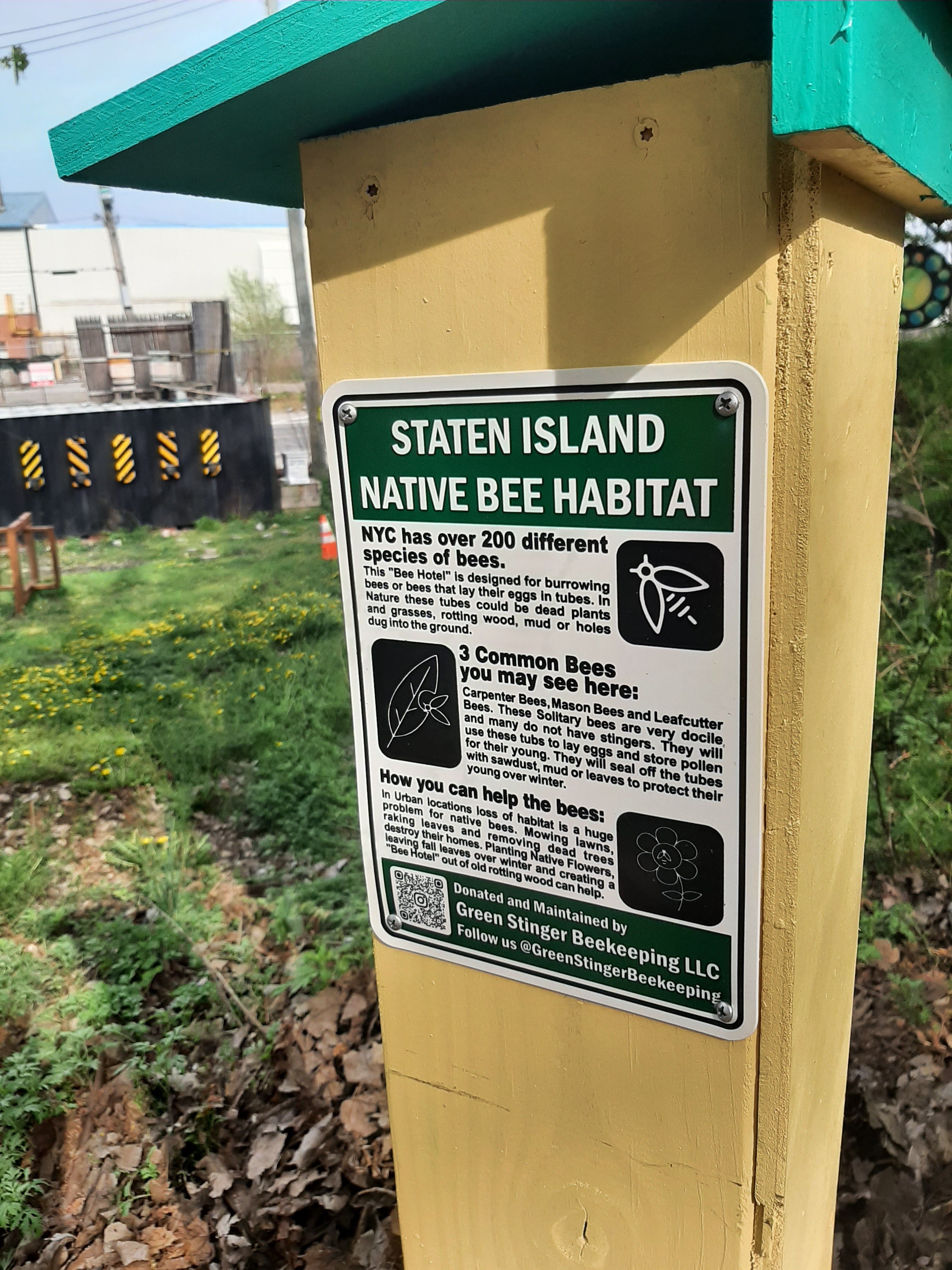 Native Bee Habitat Project – Green Stinger Beekeeping