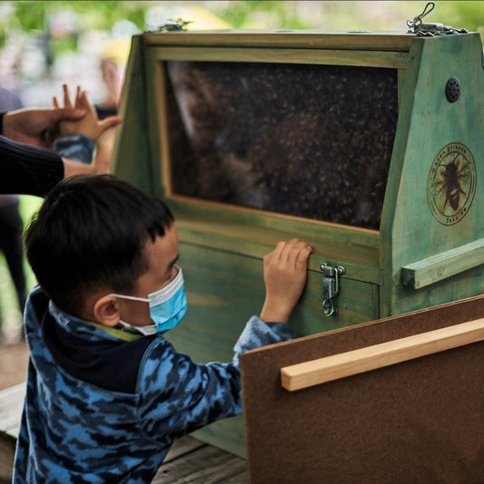 Outreach- Observation Hive