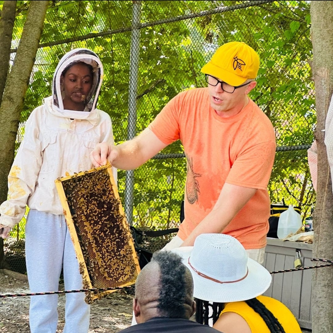 Honey Bee Empathy Tee