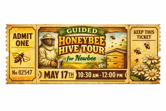 Giuded Hive Inspections for newbees