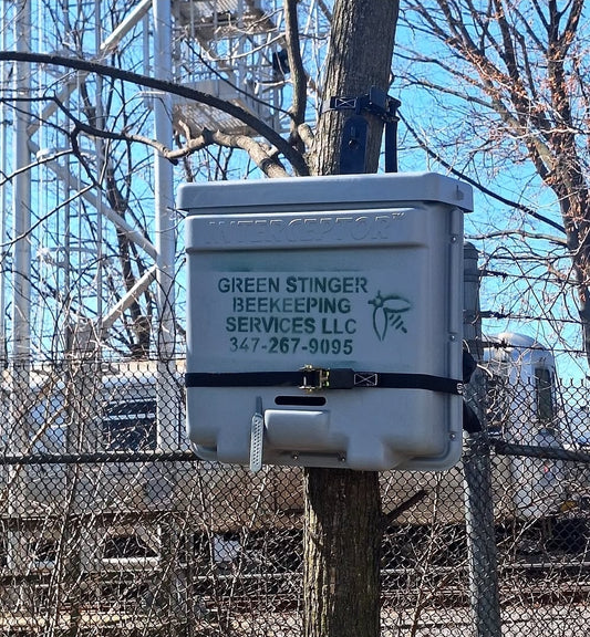 Swarm Traps Instalation