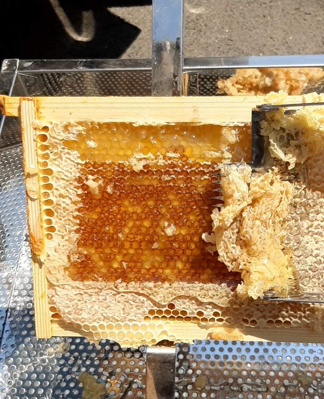 8oz Stapleton Local Raw Honey