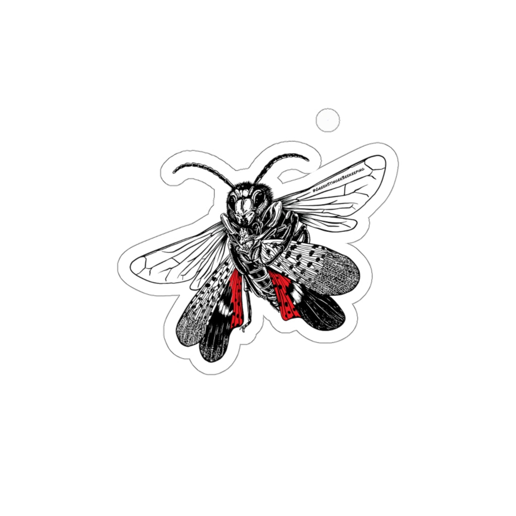 Hornet vs Lanternfly Stickers